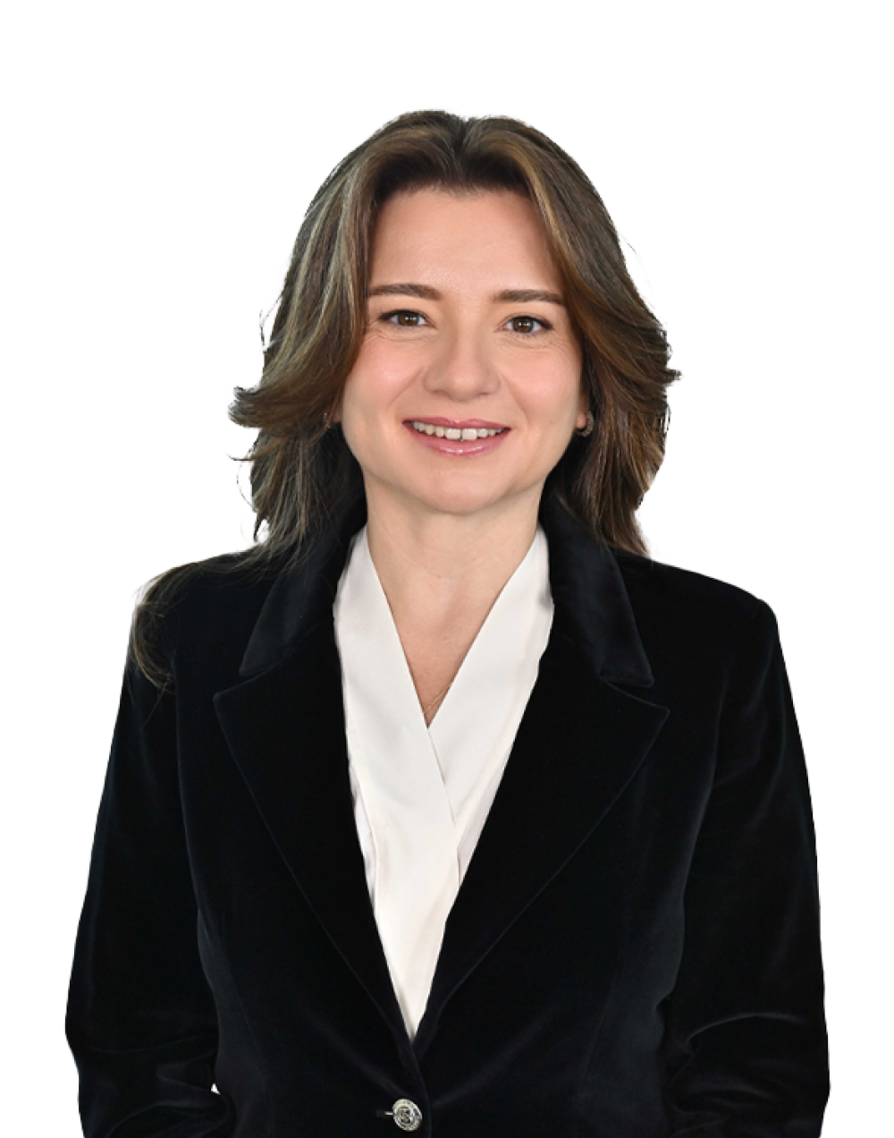 The year 2024 was marked by significant developments in the energy sector, shaped by both global and local dynamics.